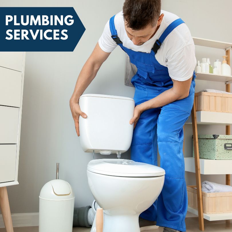 Plumbing Company in Young, AZ